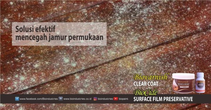 5 Langkah Mencegah Jamur  Merusak Furniture Cat  Kayu 